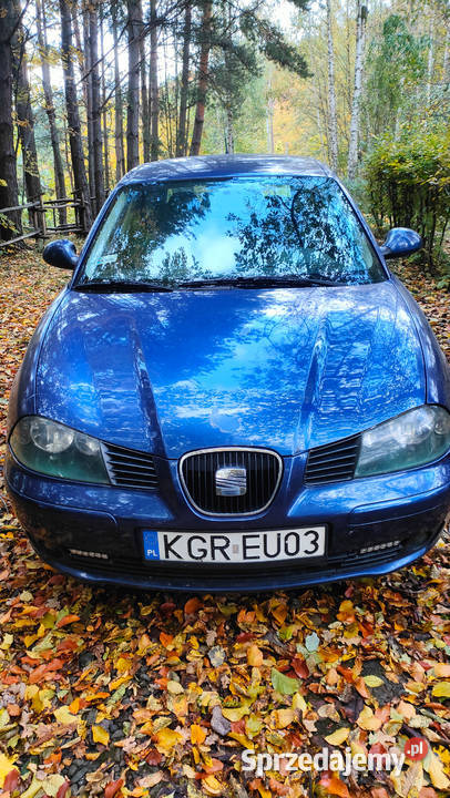 Seat ibiza III 6L 19 TDI Szalowa