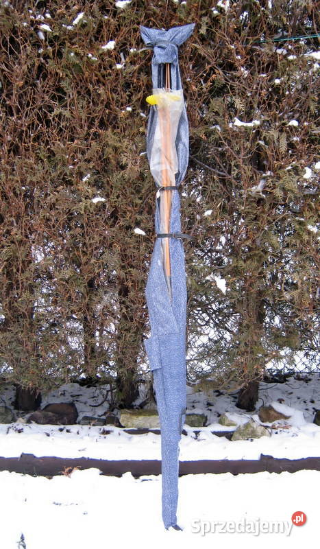 Narty biegowe Visu Parnu Sport kijki buty Kraków