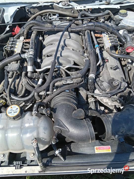 Ford Mutang 6 Generacja 2015 5o 420 hp całość na Niemce