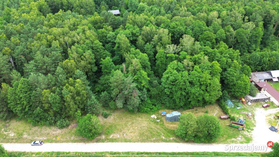Do sprzedaży grunt 6000m2 Wola Uhruska 25zł/m2 sprzedam