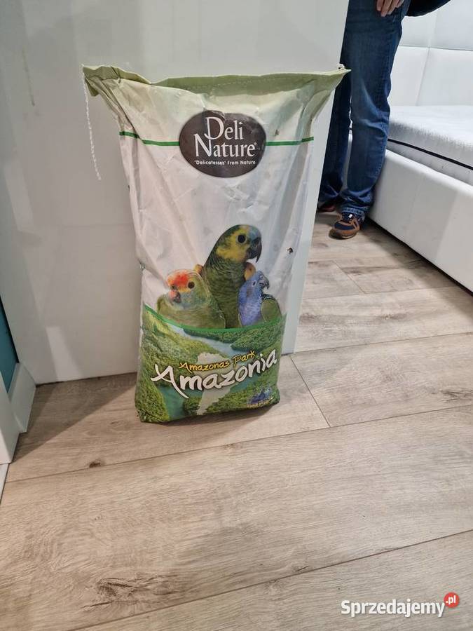 Amazonka Oratrix żółtogardła Marki