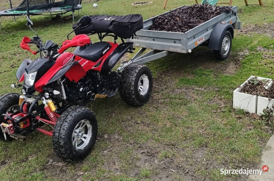 Quad Bashan 250 manual 41 wyciągnarka 250cm3 Golub-Dobrzyń sprzedam