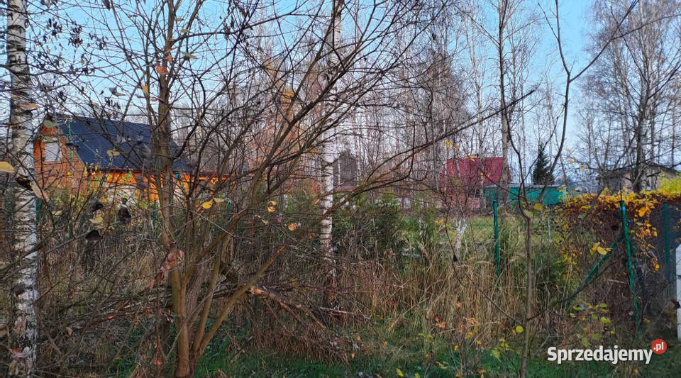działka budowlana grodzisko gm żytno pow budowlana łódzkie