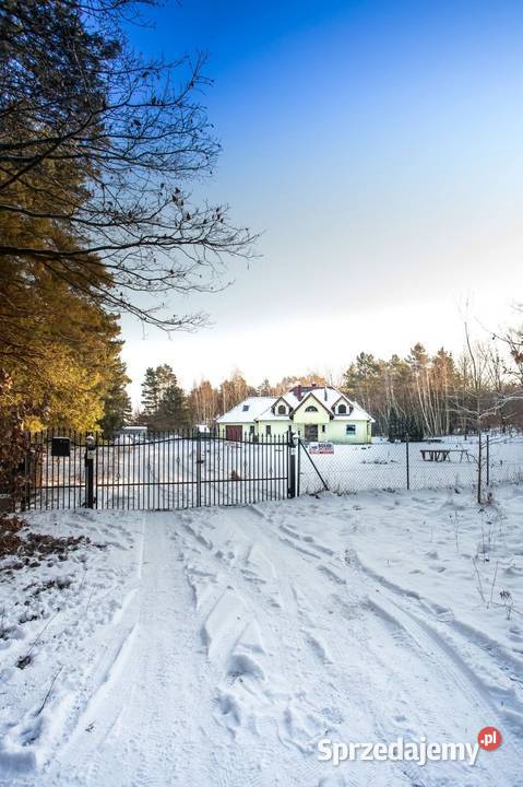 Dom w lesie wolnostojący lubuskie Słone