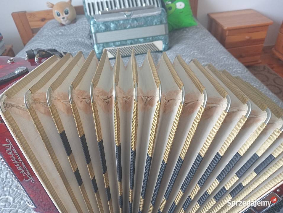 Sprzedam akordeon Sartigiana 120 bas lubelskie Janów Lubelski