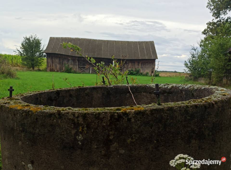 Budynki drewniane zabytki lubelskie Biała Podlaska