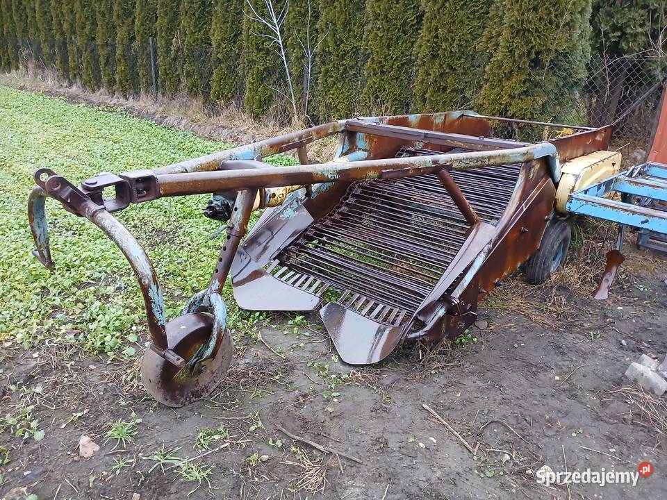 Kopaczka elewatorowa Kopaczka do ziemniaków Rzgów sprzedam
