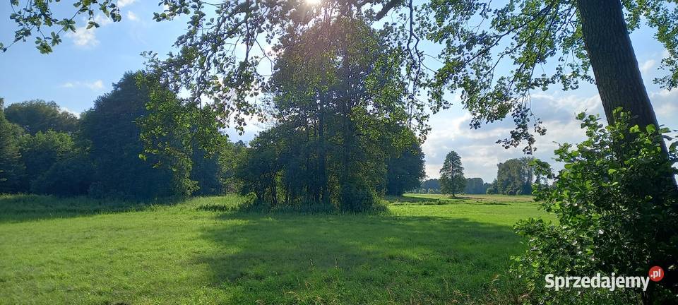 Sprzedam działkę rolną z możliwością zabudowy 11200m2 Nieruchomości sprzedam