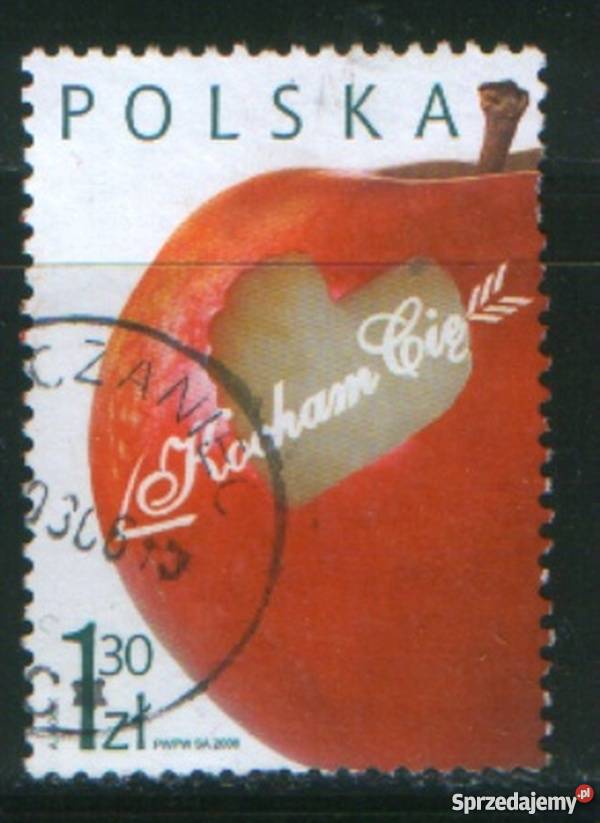 Zn Fi 4078 kas 2006 śląskie Gliwice