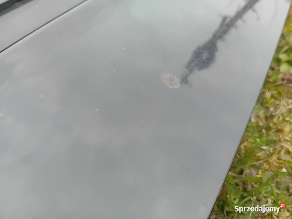 Honda Jazz II tylna klapa bagażnika lak B92P Radłów