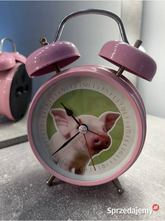 Budzik ze świnką świnią różowy HIT Jasło sprzedam