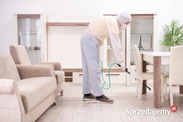 Pluskwy Świnoujście Odpluskwianie mieszkania usługa
