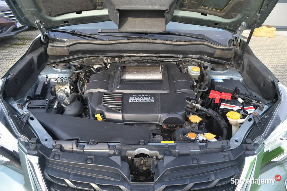 Subaru Forester z Niemiec OPŁACONY 4 Forester