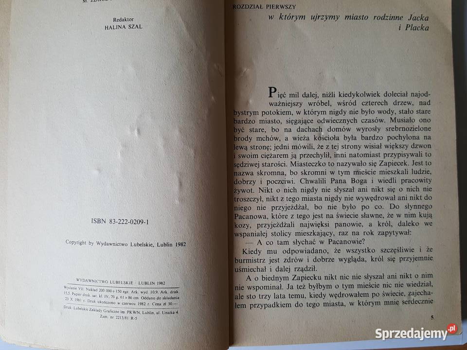 Powieść młodzieży O DWÓCH TAKICH CO UKRADLI wielkopolskie Złotniki