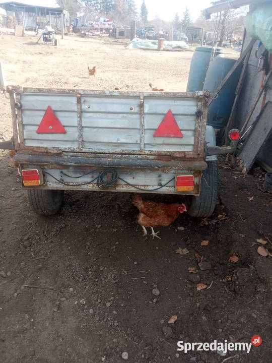 przyczepki Skarszewy