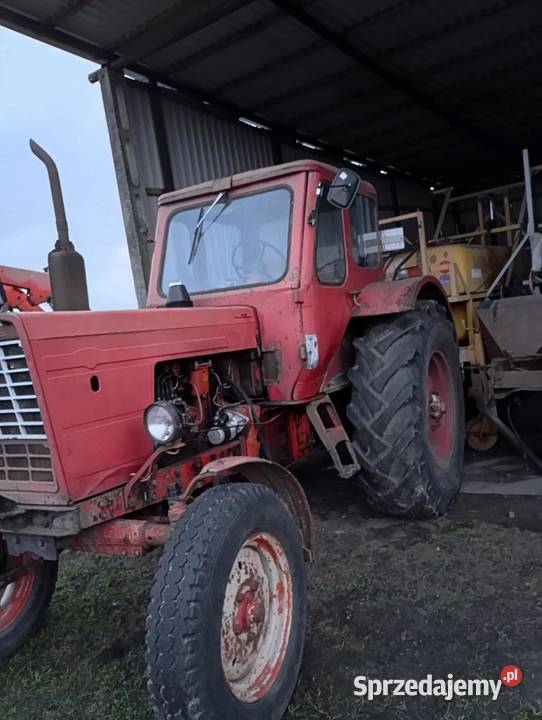 MTZ 52 Zarejestrowany Ubezpieczony Stążki