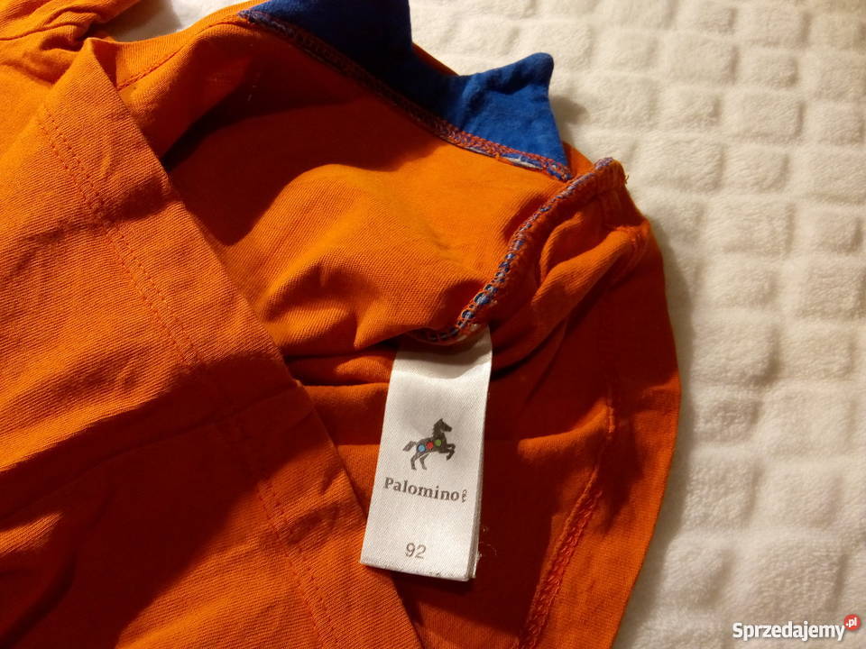 Bluzka chłopięca krótki rękaw Kameleon 92 Rozmiar 92 Rogoźnik