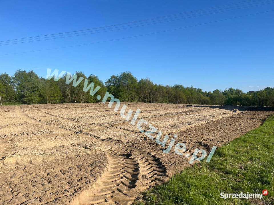 Wycinka drzew Mulczowanie Mulczer Karczowanie Kraków prace ogrodowe