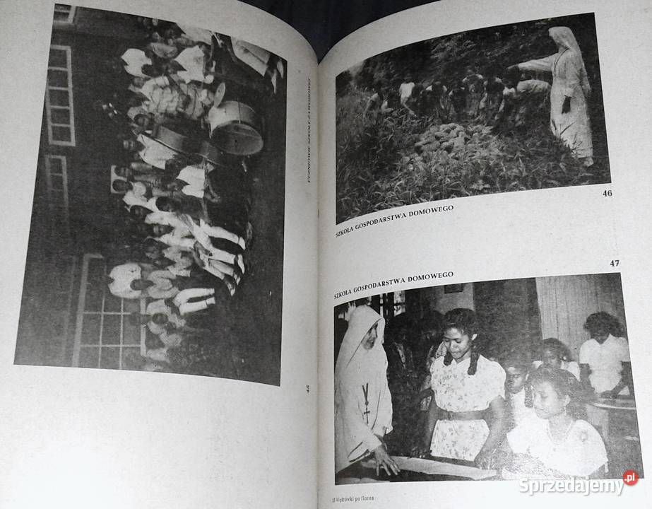 Wędrówki Flores Ks Stanisław Ograbek Rok wydania 1977 Pozostałe Chełm