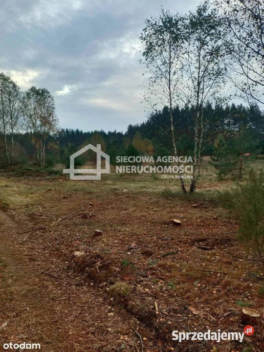 sprzedaży gruntu 42000m2 Przewóz