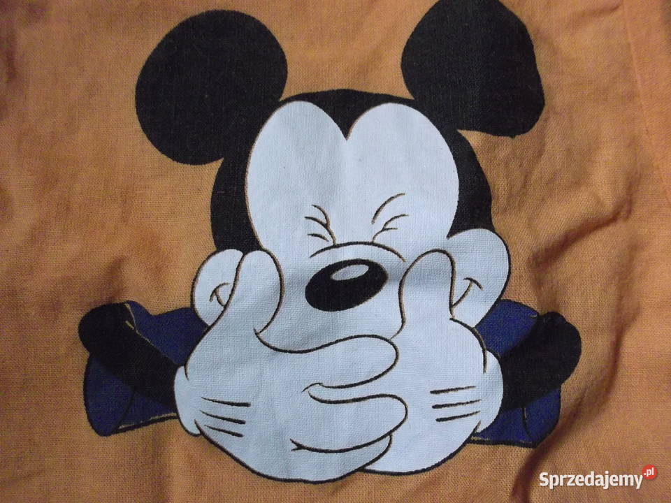 Bluzka koszula rozmiar 134 dolnośląskie Legnica