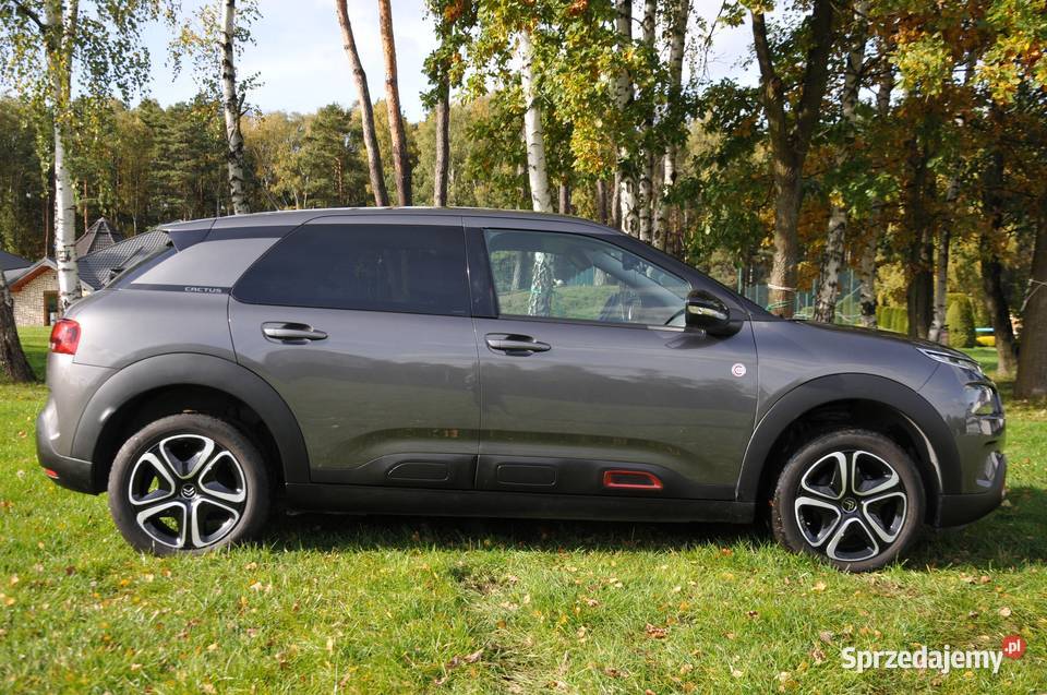 Citron C4 Cactus 15 BlueHDi Feel Pack manualna C4 Cactus śląskie Zawiercie