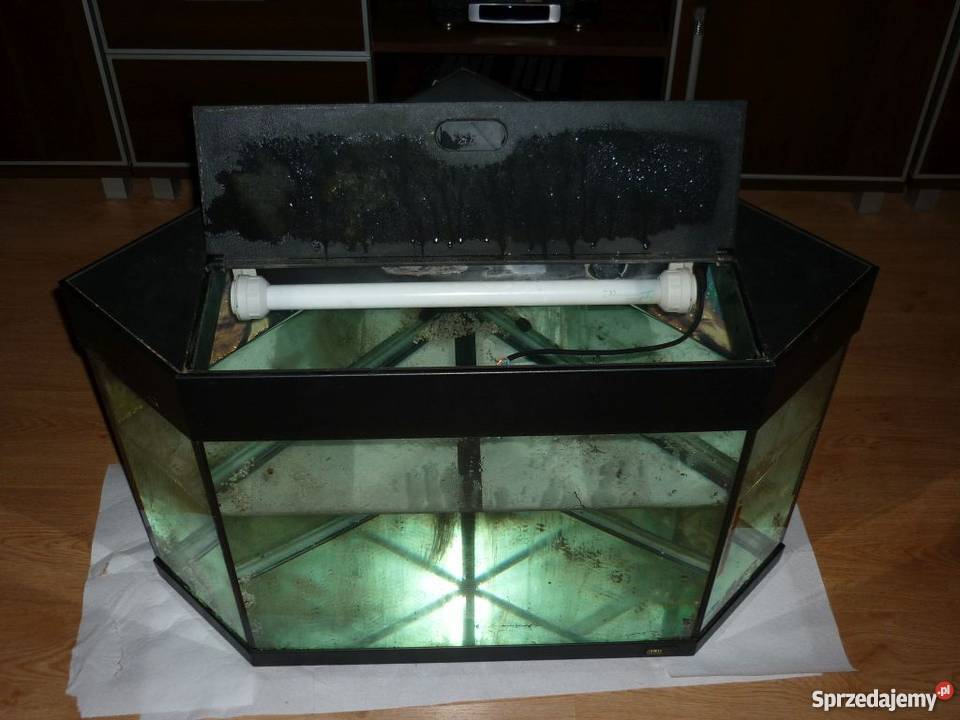 Akwarium narożne 100L pokrywa oryginalna