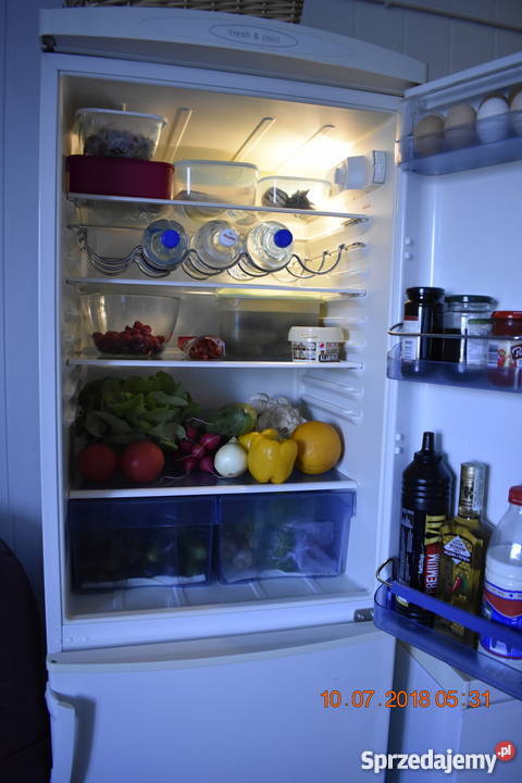 Lodówka Gorenje Lodówki i zamrażarki