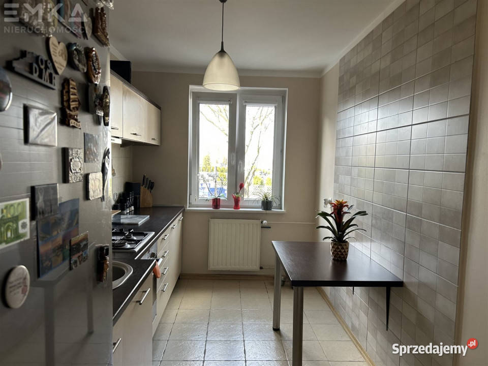 Mieszkanie 4588 metrów 2 pokoje Inowrocław Mieszkania sprzedam