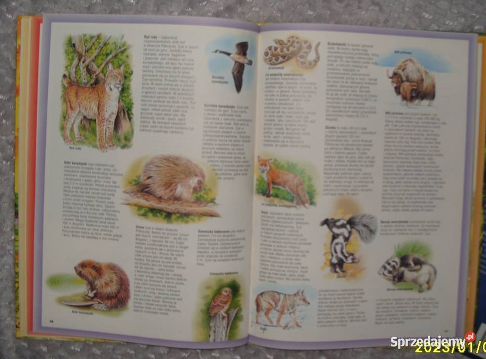Encyklopedia Atlas Świata i Wielki Atlas wielkopolskie Rawicz sprzedam