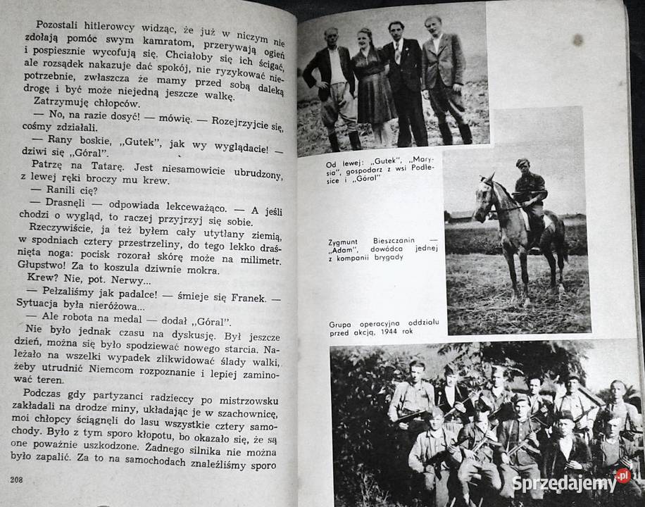 Partyzanckie ścieżki Jan Trzaska Pozostałe