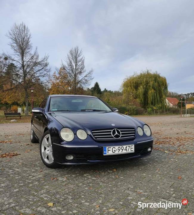 Mercedes CL 500 w215 2004 CL Szczecin