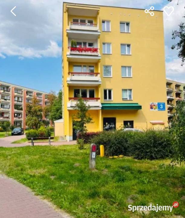 Sprzedam mieszkanie 835m2 CzechówLublin piwnica Lublin