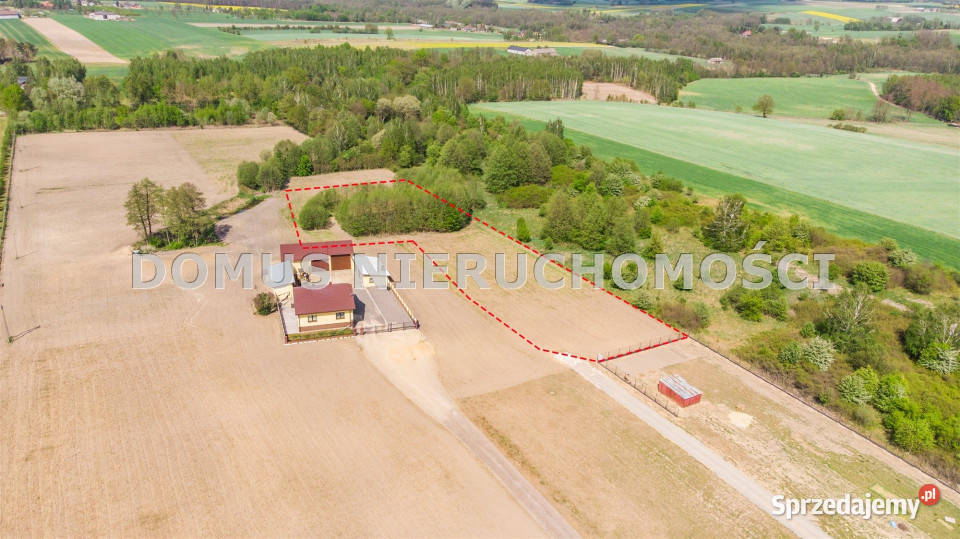 Grunt Rozworzyn 4999m2
