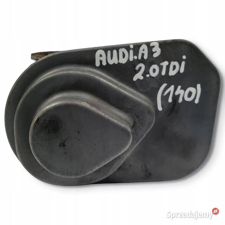 PRZEPUSTNICA Audi A3 8P Skoda Octavia II Leon II Chełm