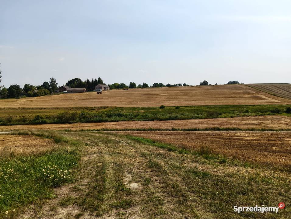 Siedlisko Dom 90 m 65 ar budynki gospodarcze 3