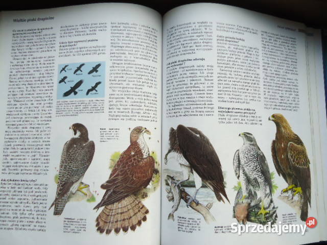abc przyrody w pytaniach i odpowiedziach Readers Książki do nauki języka obcego Gdynia sprzedam