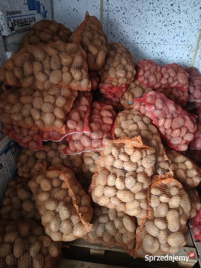 Ziemniaki Sadzeniaki zachodniopomorskie Barnim sprzedam
