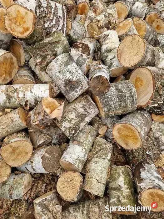 Drewno kominkowe opałowe kominka brzoza 1 4L Pozostałe Łódź