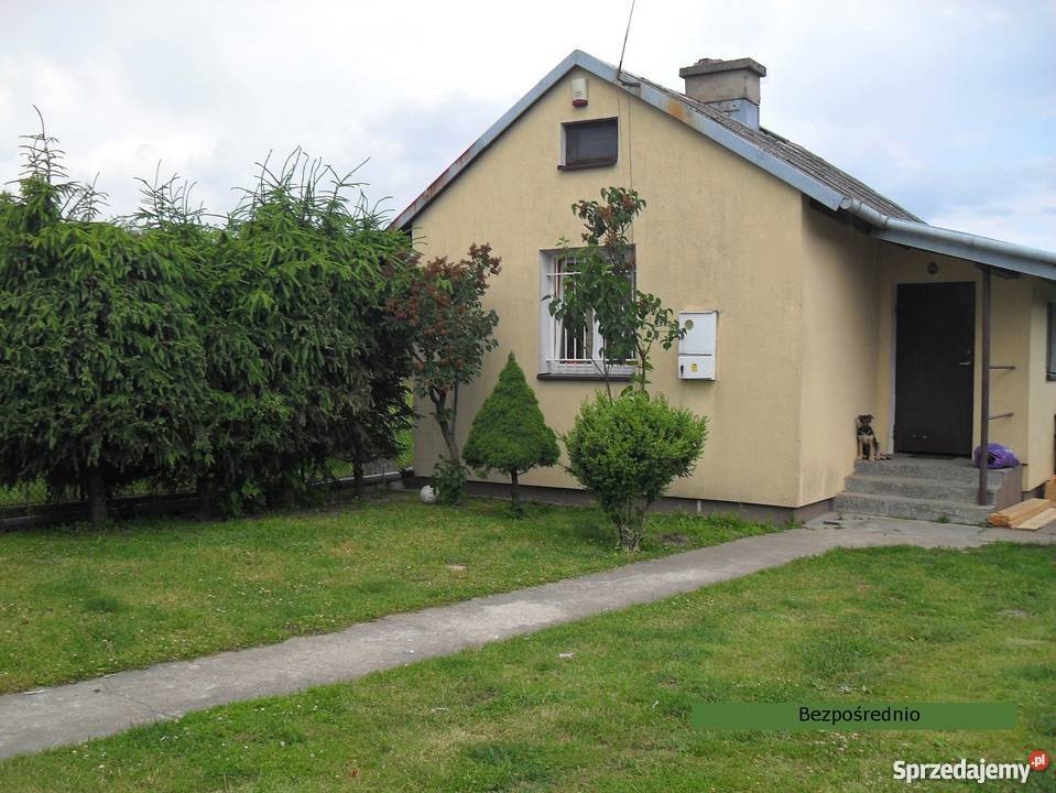 sprzedam działkę w Grójcu Grójec