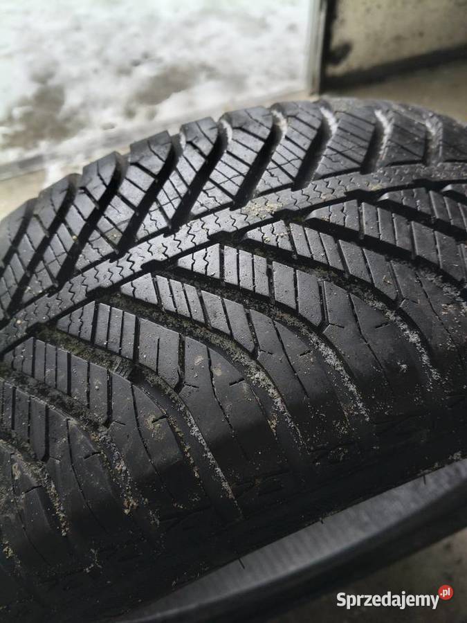 Opony całoroczne 1955015 całoroczne Samochodowe Kołbiel