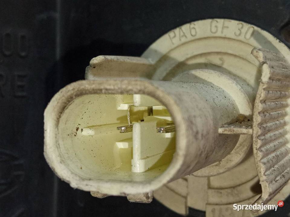 LAMPA PRZÓD PRAWA XENON 1EL00905002LE Opel Omega świętokrzyskie