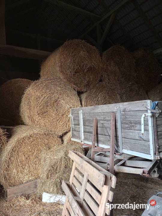 Słoma pszenżytnia 120x130 opolskie Prosna