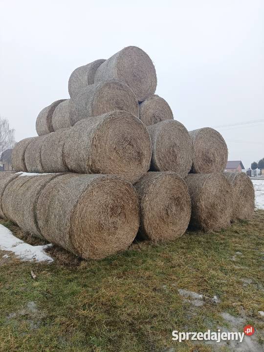 słoma bele 150 Radzyń Podlaski