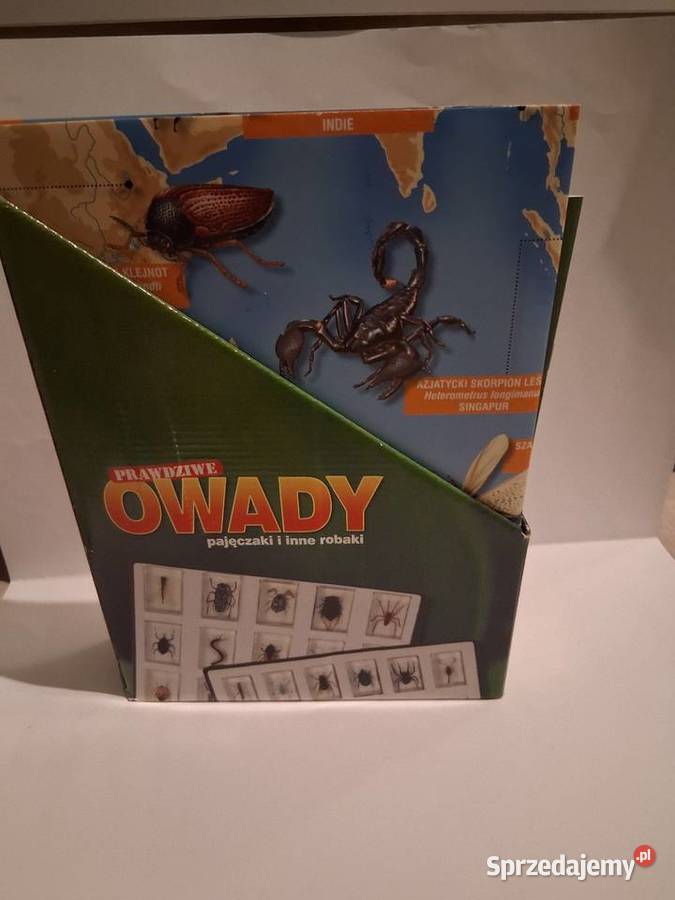 Prawdziwe Owady pajęczaki I inne robaki sprzedam