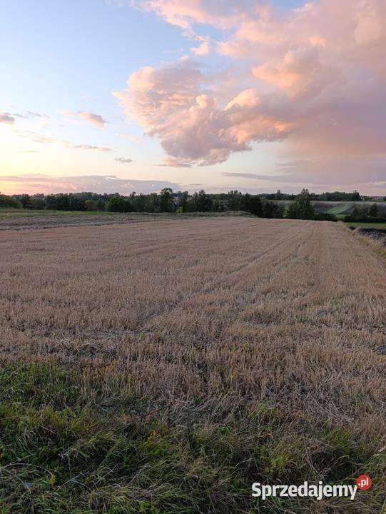 Działka Lesie 7 Uzdrowiska BuskoZdrój 30ar 60ar Kobylniki