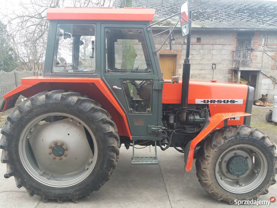 Ciągnik URSUS 4514 nie Ferguson nie Zetor Zaczep dolny Grzegorzew