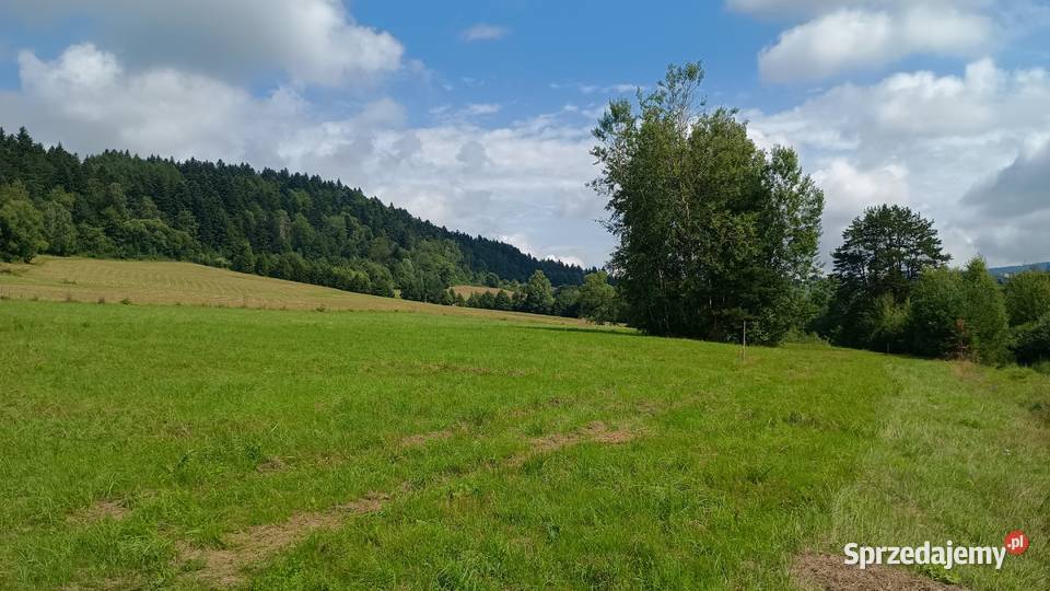 Działka Daliowa gm Jaśliska podkarpackie