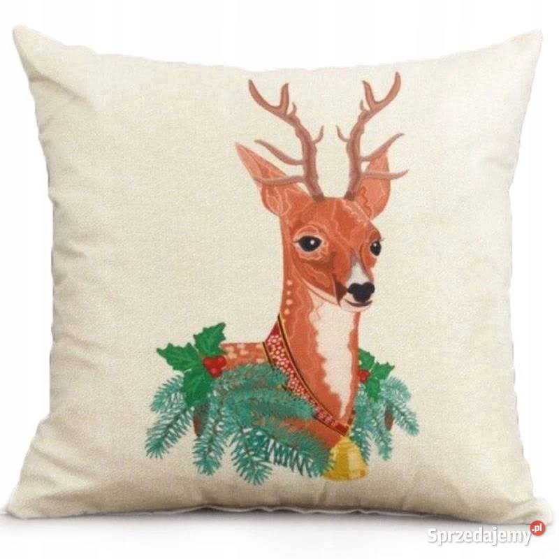 Poduszka z łuską gryki jasiek 40 x 40 podkarpackie Stalowa Wola