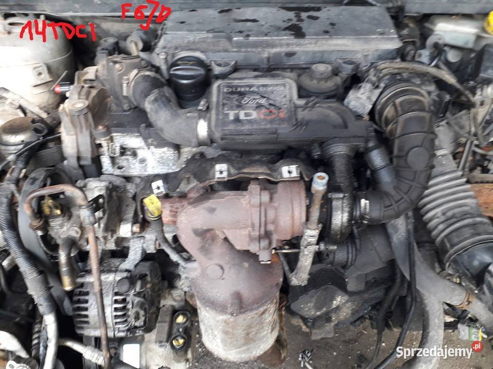 ford fiesta mk6 14tdci dawca czesci Fiesta Radzyń Podlaski